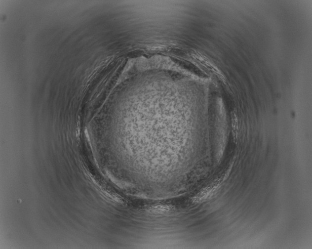 X0000077320593200611031707