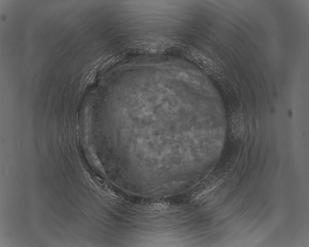 X0000077320594200611031707