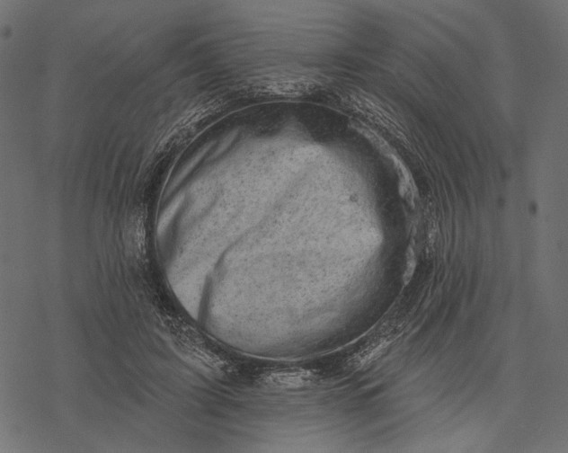 X0000077320595200611031707