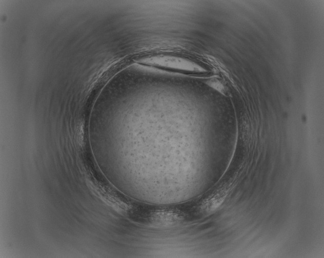 X0000077320596200611031707