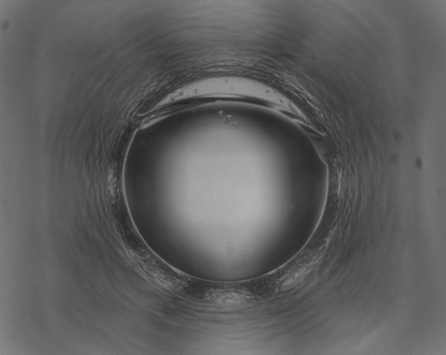 X0000077320597200611031707