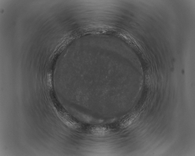 X0000077320598200611031707