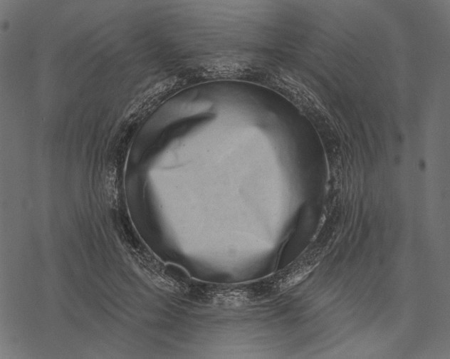 X0000077320599200611031707