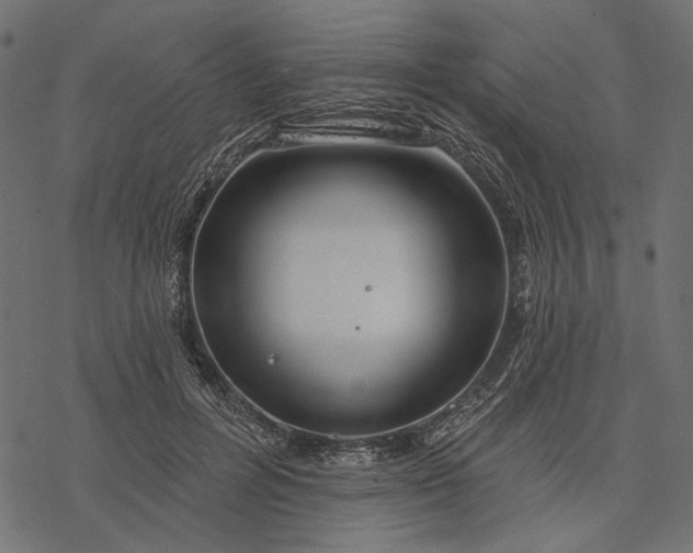 X0000077320600200611031707