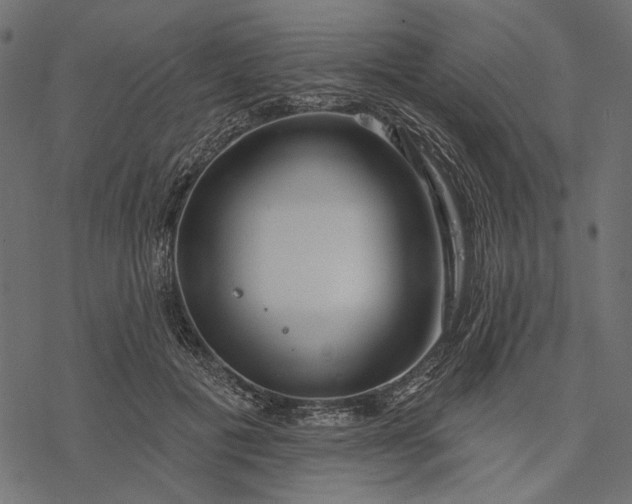 X0000077320601200611031707