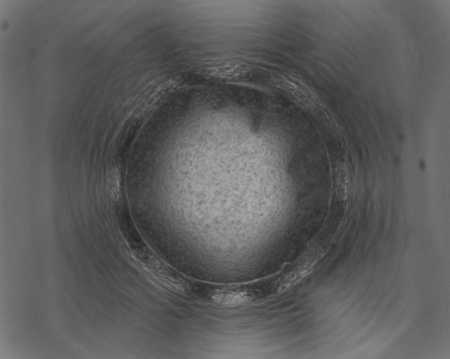 X0000077320602200611031707