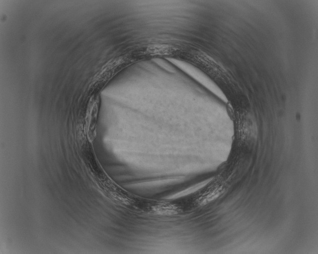 X0000077320603200611031707