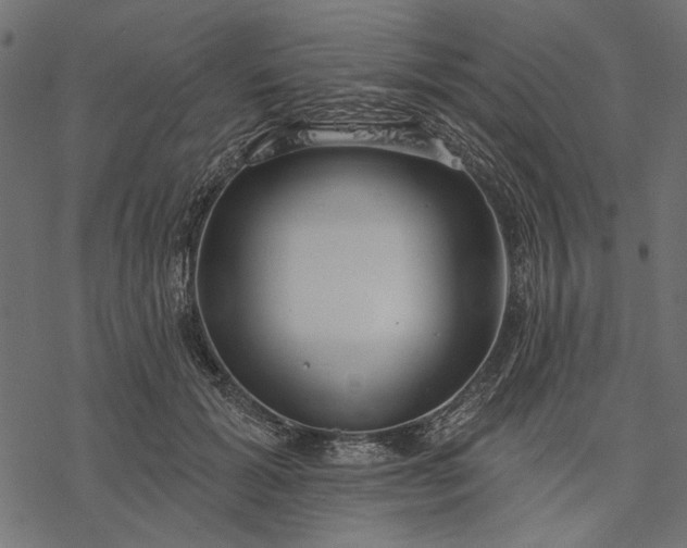 X0000077320605200611031707