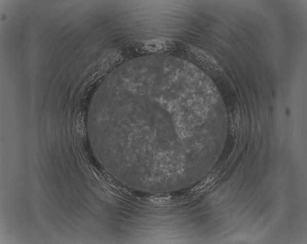 X0000077320606200611031707