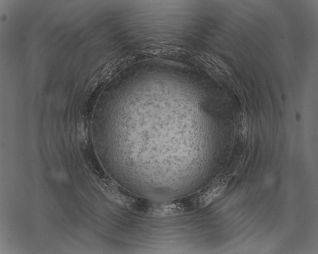 X0000077320607200611031707