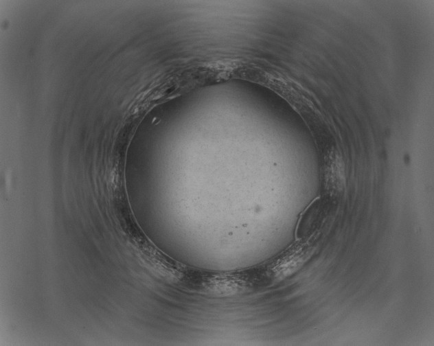 X0000077320608200611031707