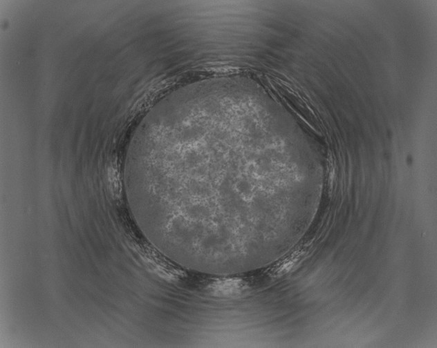 X0000077320609200611031707