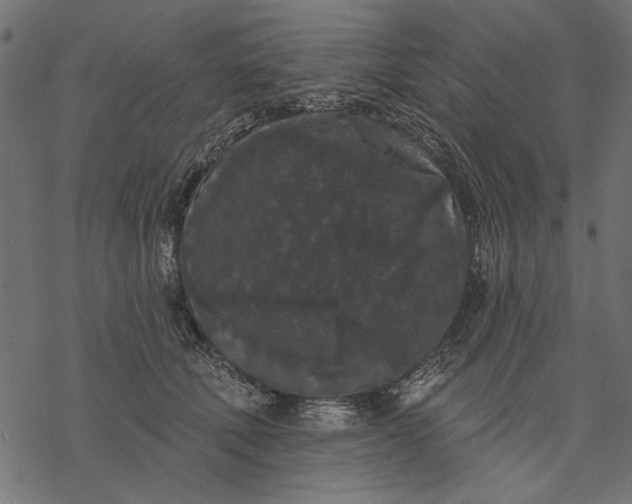 X0000077320610200611031707