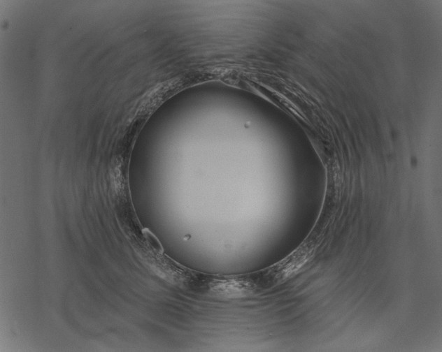 X0000077320611200611031707