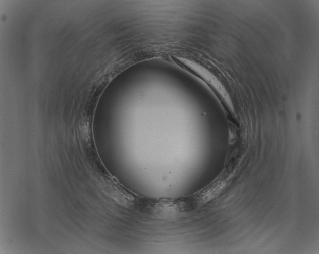 X0000077320613200611031707