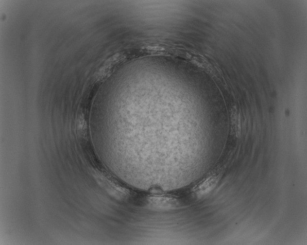 X0000077320614200611031707