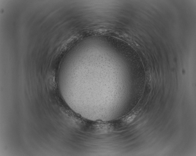 X0000077320615200611031707