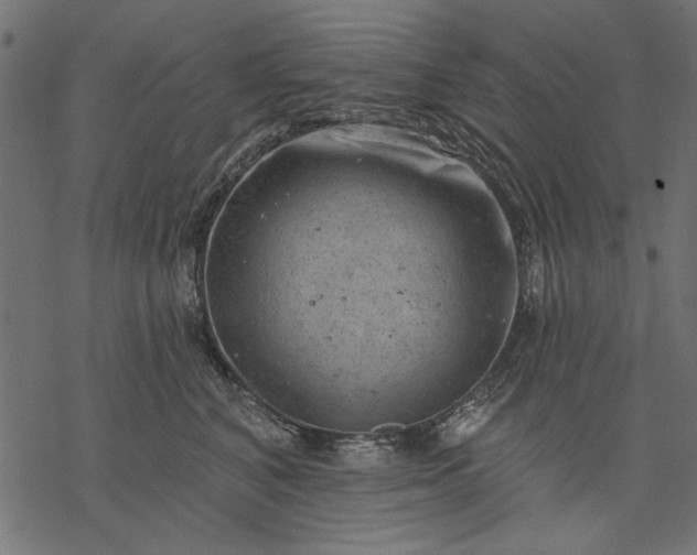 X0000077320616200611031707