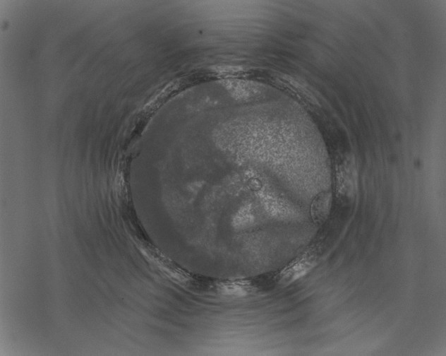 X0000077320618200611031707