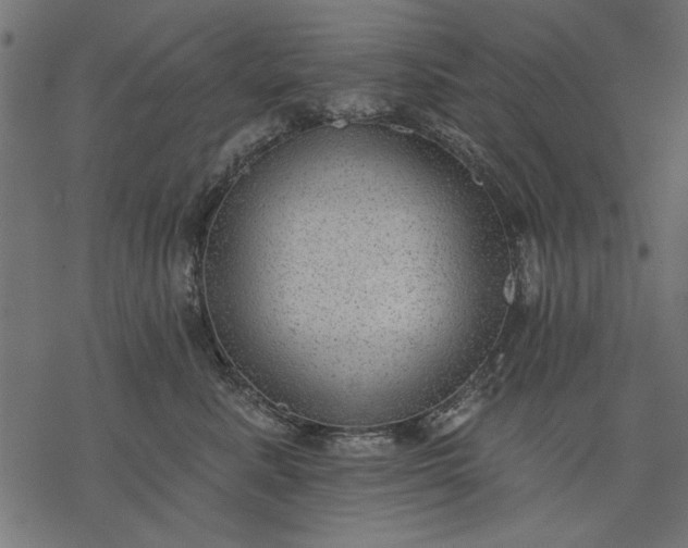 X0000077320619200611031707