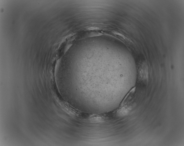 X0000077320620200611031707