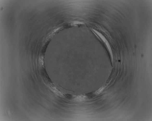 X0000077320621200611031707