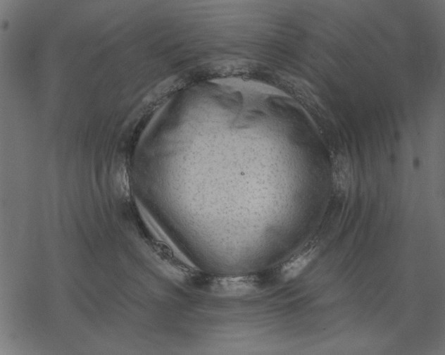 X0000077320622200611031707