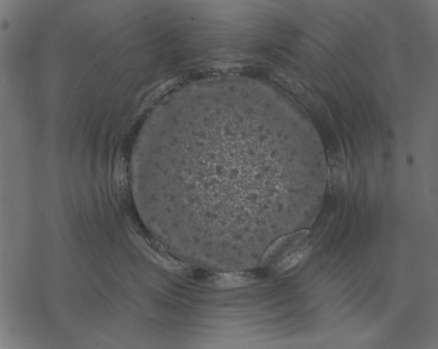 X0000077320623200611031707