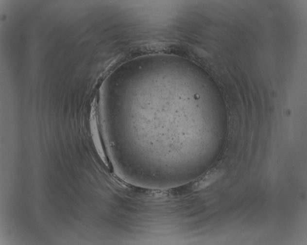 X0000077320624200611031707