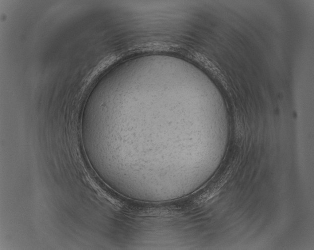 X0000077320625200611031706