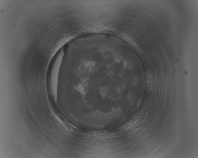 X0000077320626200611031706