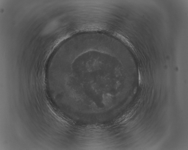 X0000077320627200611031706