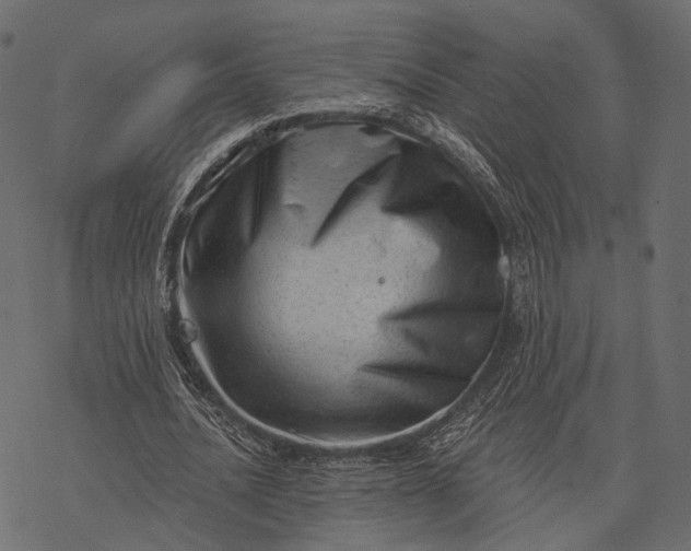 X0000077320628200611031706