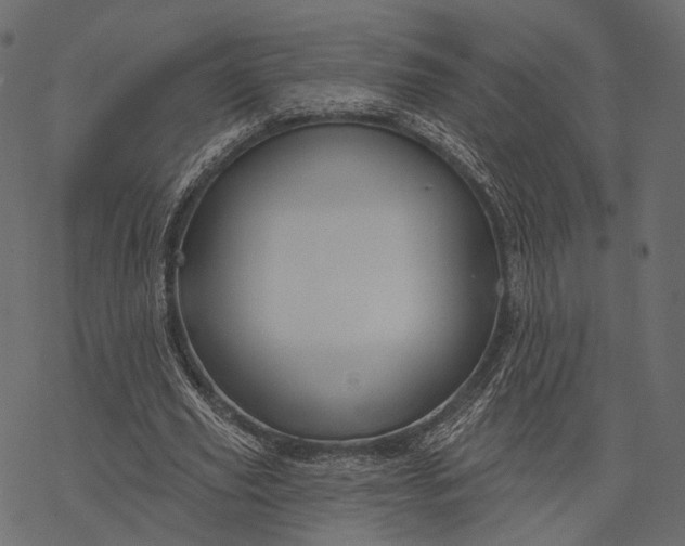 X0000077320629200611031706