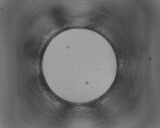 X0000077320632200611031706