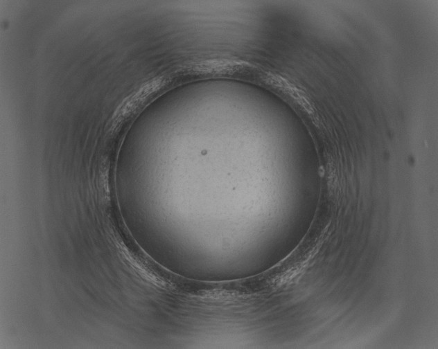 X0000077320633200611031706