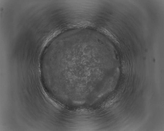 X0000077320634200611031706