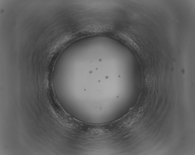 X0000077320635200611031706