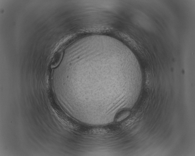 X0000077320636200611031706