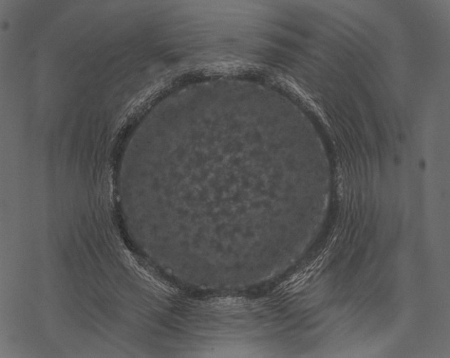 X0000077320637200611031706