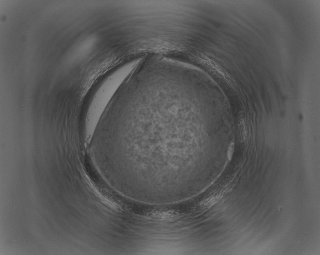 X0000077320638200611031706