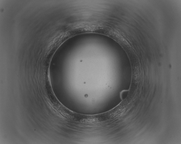 X0000077320639200611031706