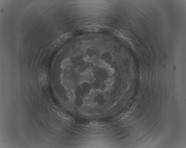 X0000077320641200611031706