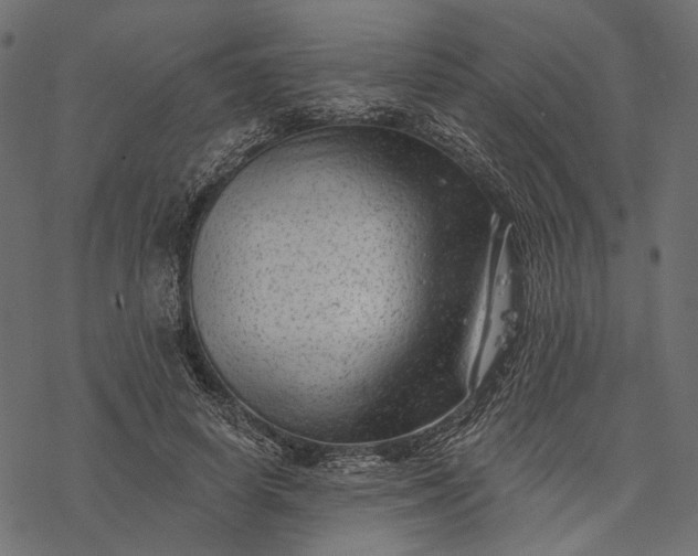 X0000077320642200611031706