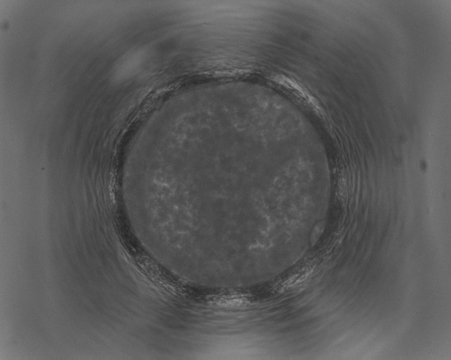 X0000077320643200611031706