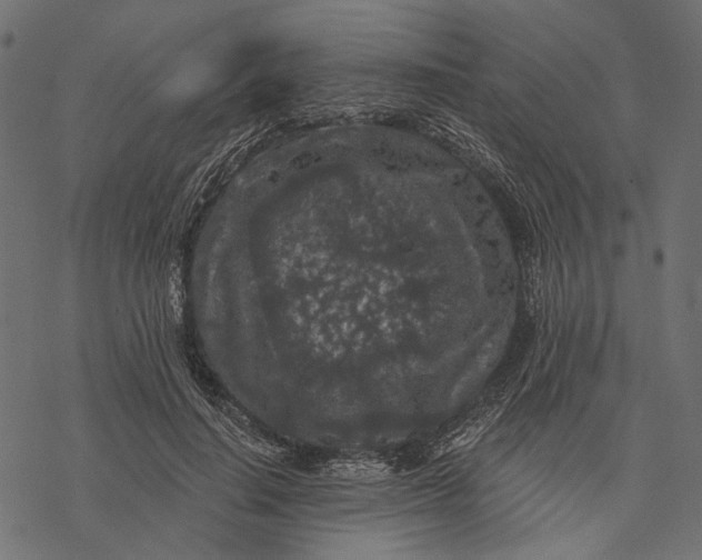 X0000077320644200611031706