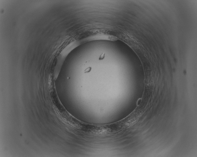 X0000077320646200611031706