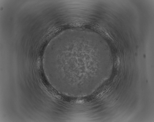 X0000077320647200611031706