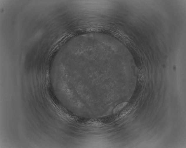 X0000077320648200611031706