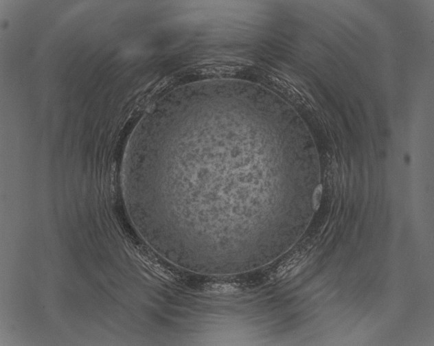 X0000077320649200611031706